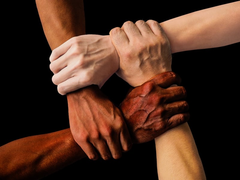 Connect with like-minded individuals